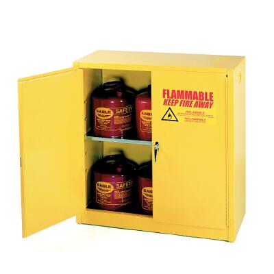 Flammable Storage Safety Cabinet (30 Gallons, 2 Manual Doors)