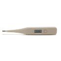 Digital Thermometer