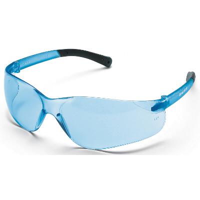 Bearkat Glasses (Black/Light Blue)